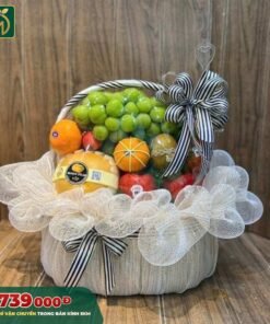 Giỏ Trái Cây Cao Cấp – Premium Fruit Basket -010