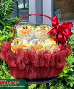 Giỏ Trái Cây Cao Cấp – Premium Fruit Basket - 008
