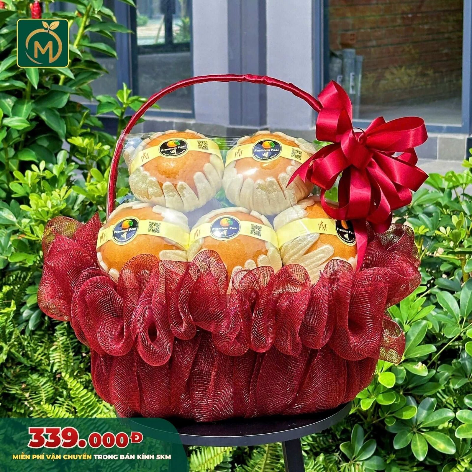 Giỏ Trái Cây Cao Cấp – Premium Fruit Basket - 008