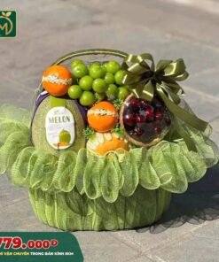 Giỏ Trái Cây Cao Cấp – Premium Fruit Basket - 006