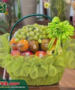 Giỏ Trái Cây Cao Cấp – Premium Fruit Basket - 005